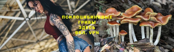 МДПВ Магадан