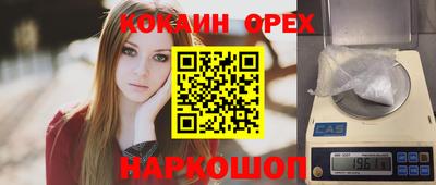 сатива Кингисепп