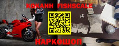 сатива Кингисепп