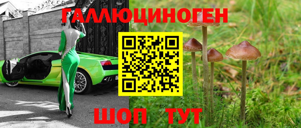 Галлюциногенные грибы Psilocybe  Псилоцибиновые грибы прущие грибы  Вход с VPN  Нижневартовск 