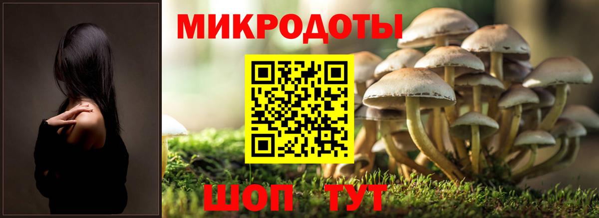 Псилоцибиновые грибы GOLDEN TEACHER Нижневартовск